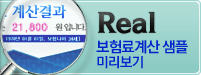 Real 보험료계산 샘플 미리보기