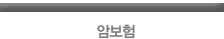 암보험